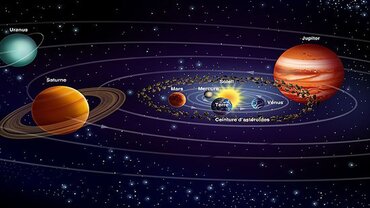 best-astrologer-in-trichy